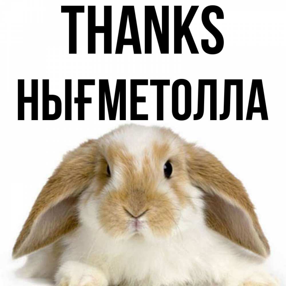 Greetings card с именем, НЫҒМЕТОЛЛА Thanks коричнево белый заяц Greetings with text for free download 