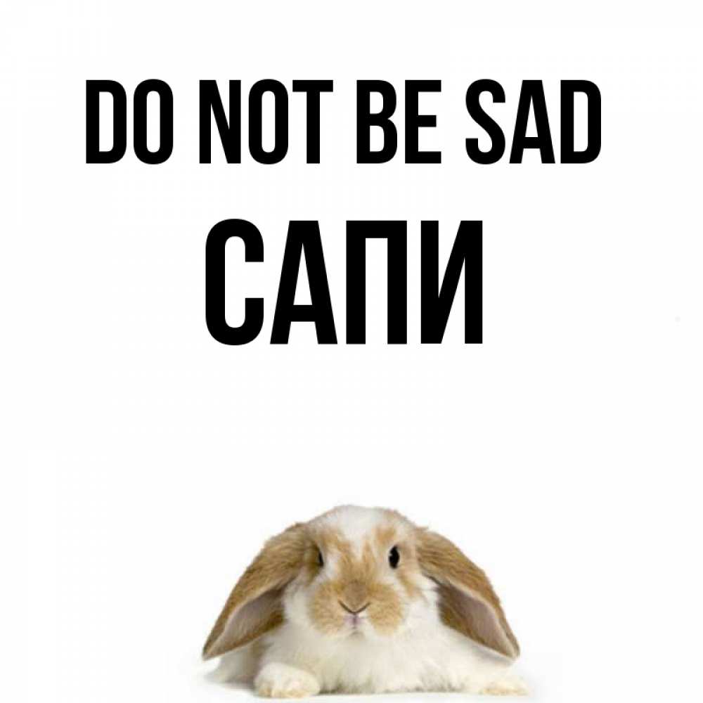 Greetings card с именем, САПИ Do not be sad коричнево белый заяц с большими ушками Greetings with text for free download 