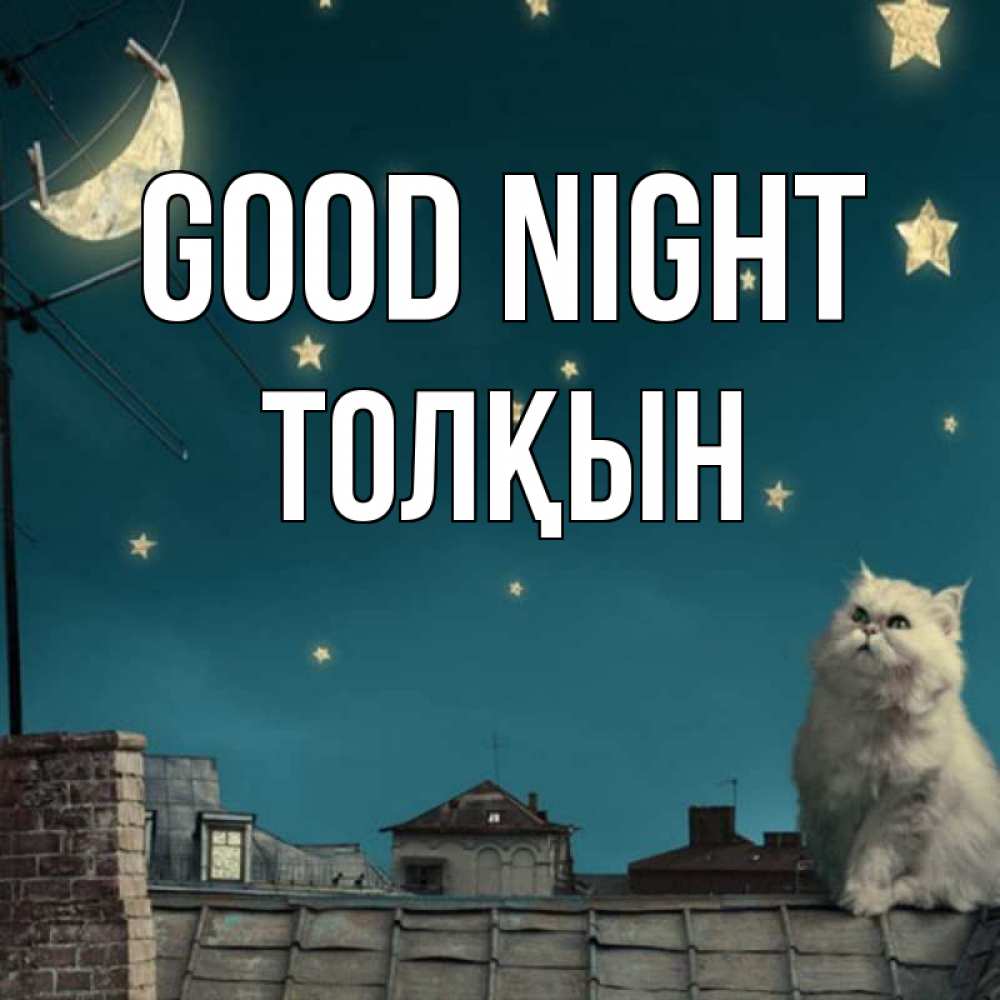 Greetings card с именем, ТОЛҚЫН Good night белый кот сидит на крыше Greetings with text for free download 