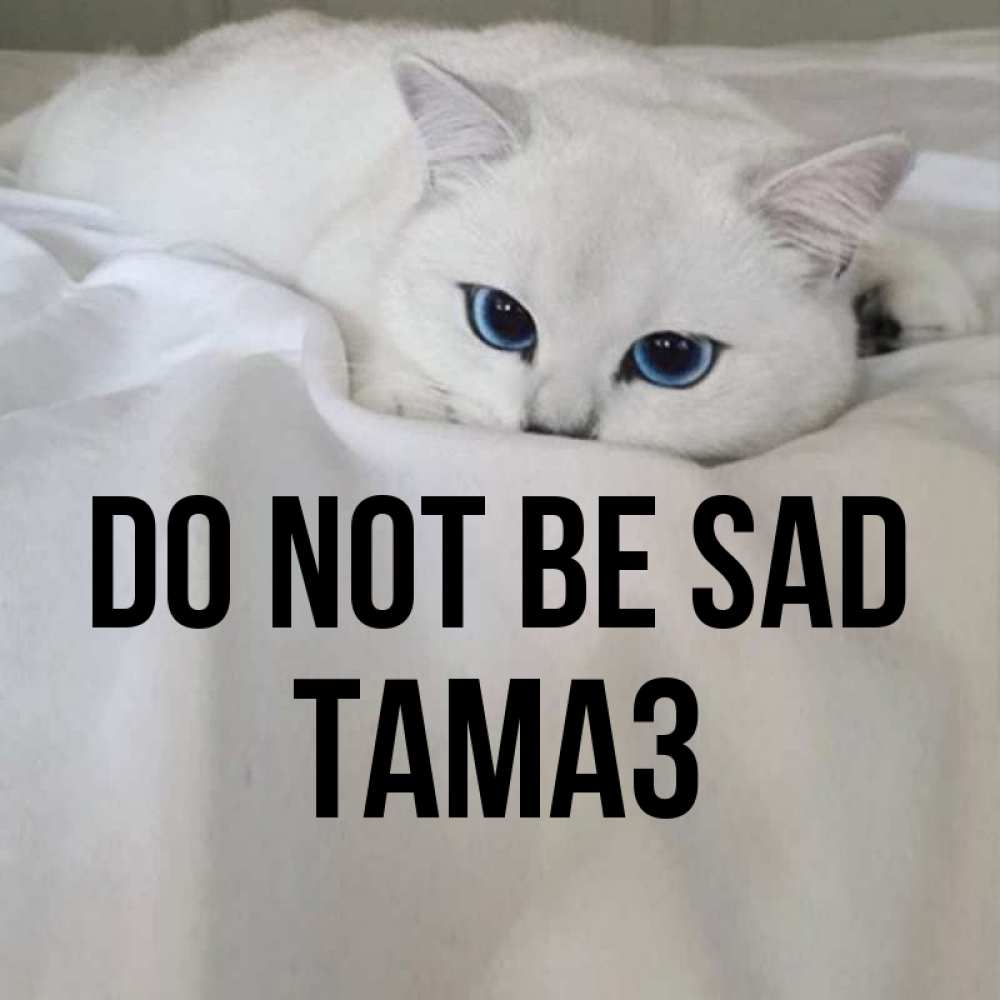 Greetings card с именем, Тамаз Do not be sad Голубоглазая кошка Greetings with text for free download 