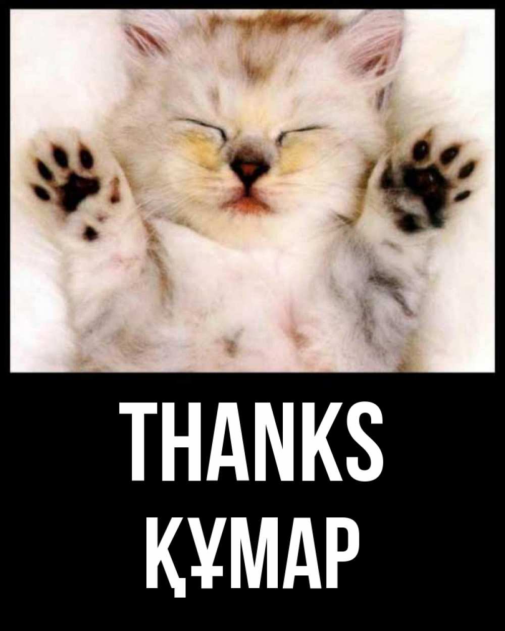 Greetings card с именем, ҚҰМАР Thanks маленький котенок Greetings with text for free download 