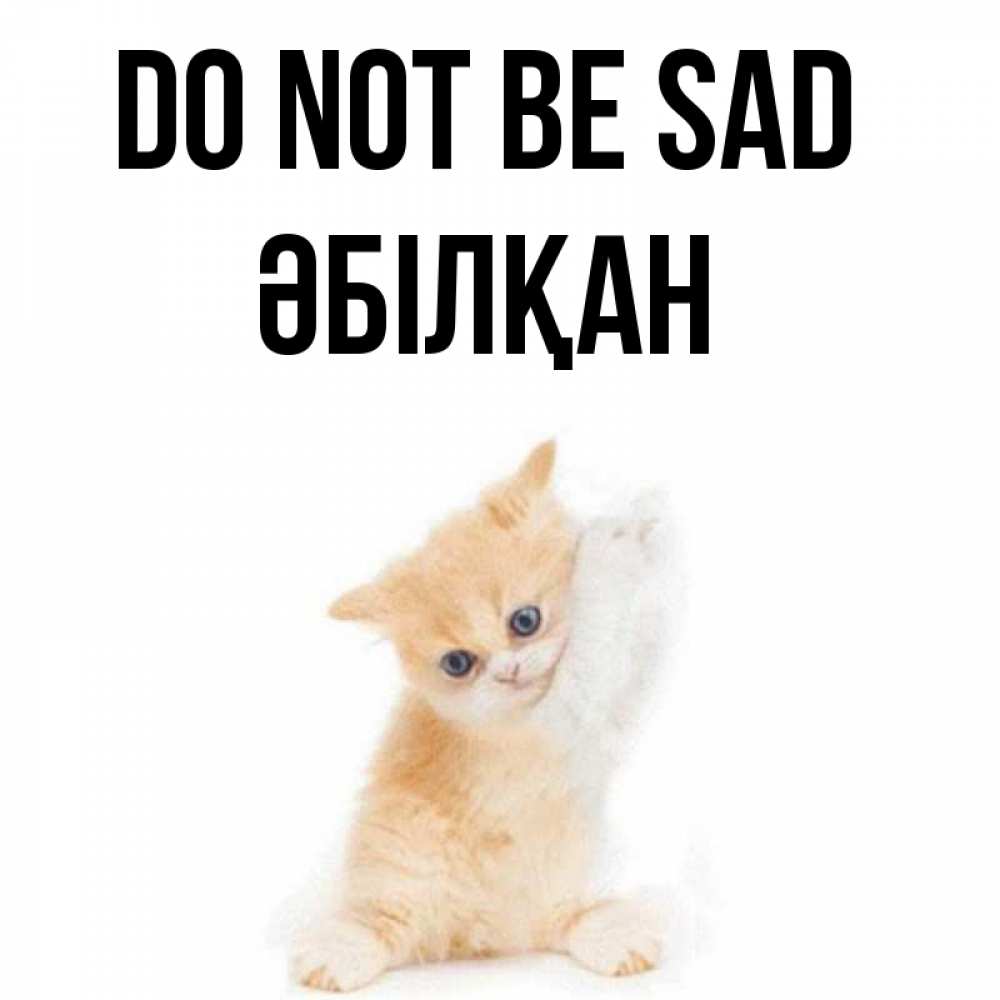 Greetings card с именем, Әбілқан Do not be sad просящий кот Greetings with text for free download 