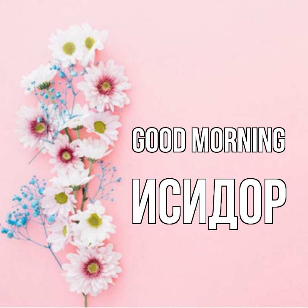 Greetings card с именем, Исидор Good morning цветы с подписью Greetings with text for free download 