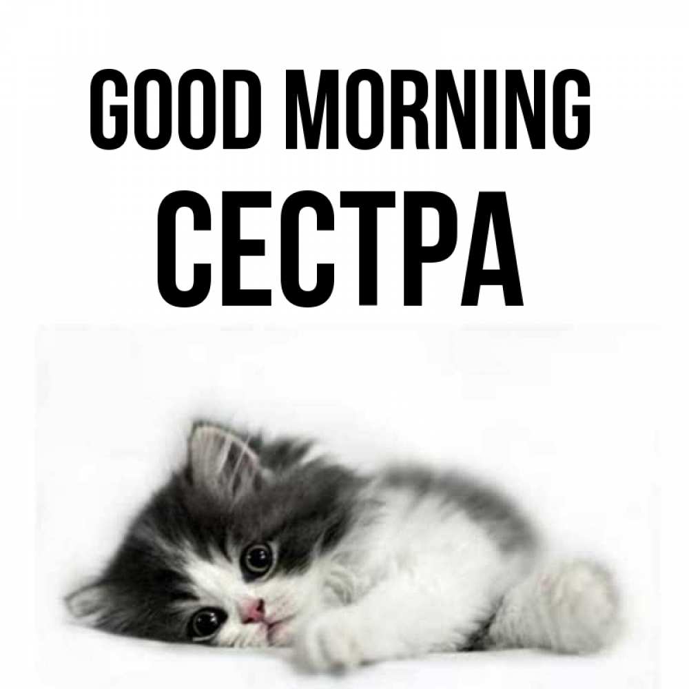Greetings card с именем, Сестра Good morning кот лапки Greetings with text for free download 