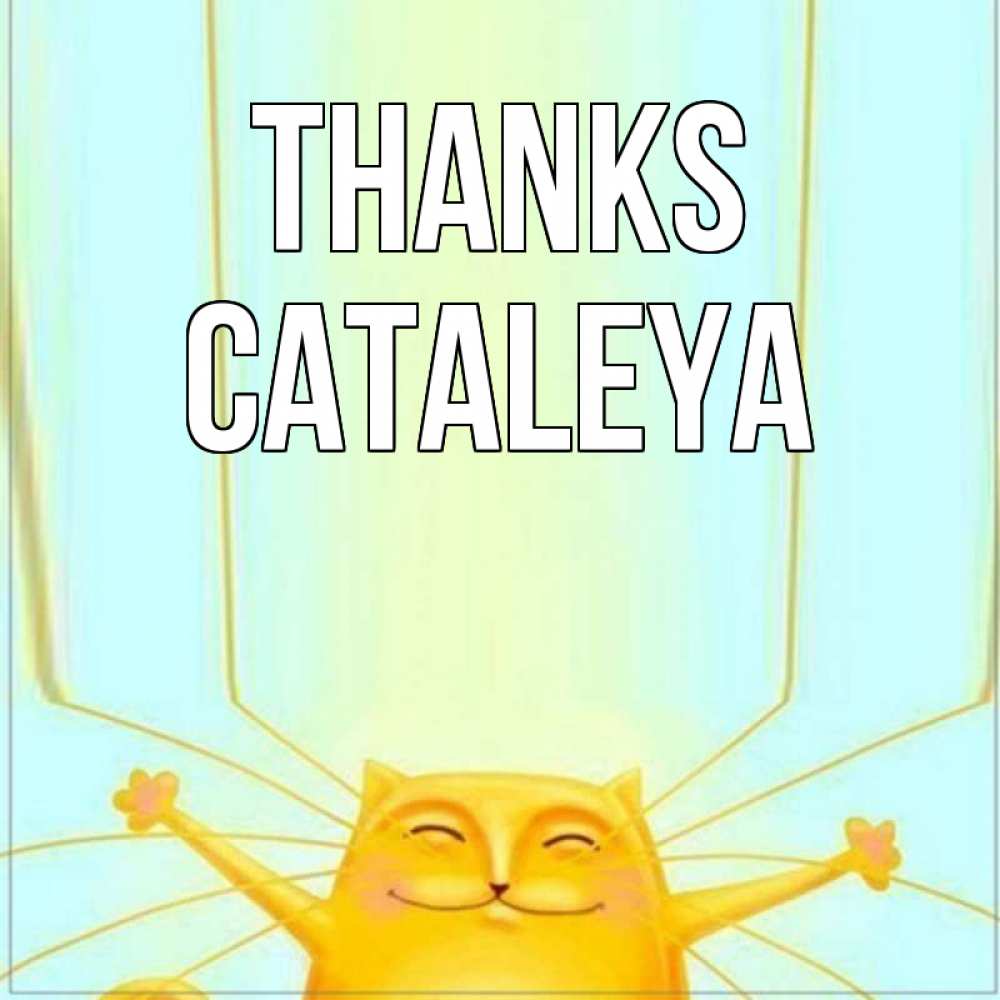 Greetings card с именем, Cataleya Thanks кот с усами благодарит Greetings with text for free download 