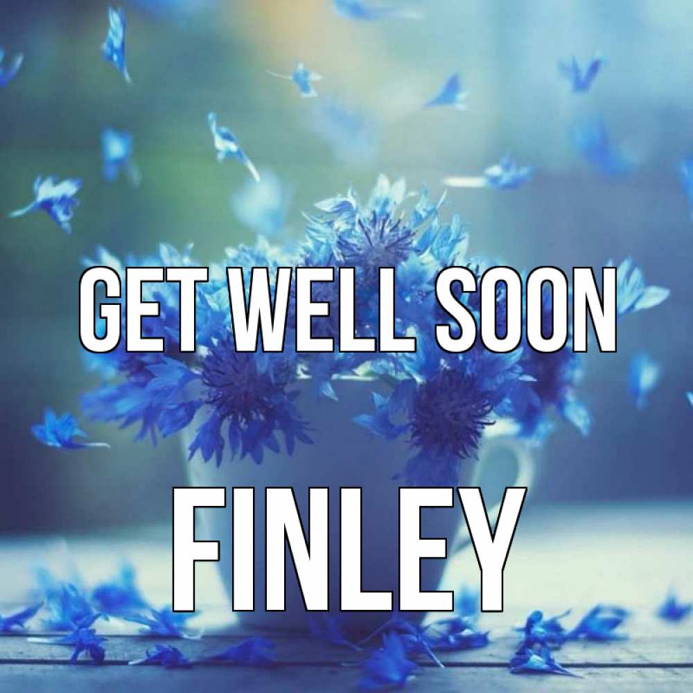 Greetings card с именем, Finley Get well soon кружка с зельем и цветами Greetings with text for free download 