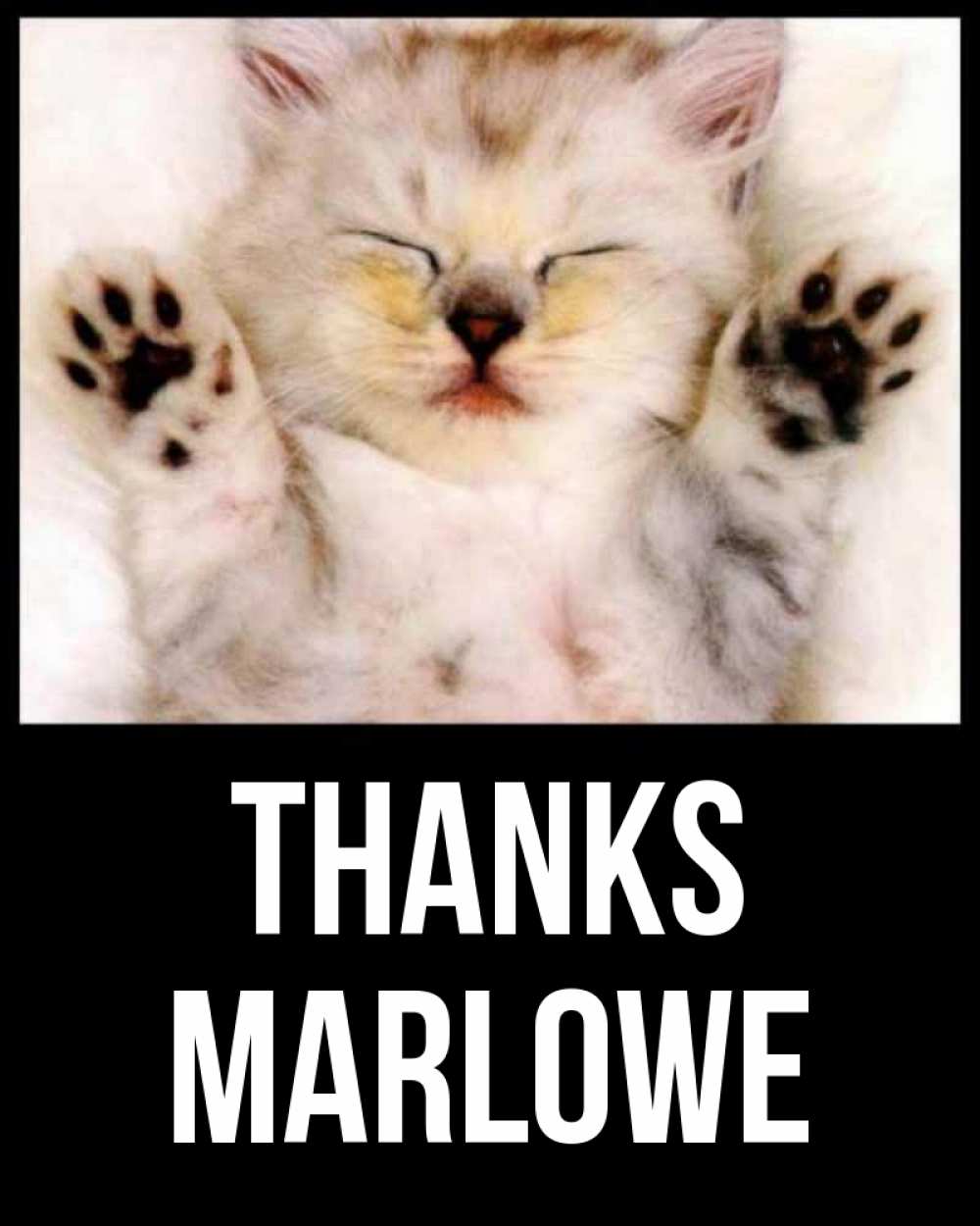 Greetings card с именем, Marlowe Thanks маленький котенок Greetings with text for free download 