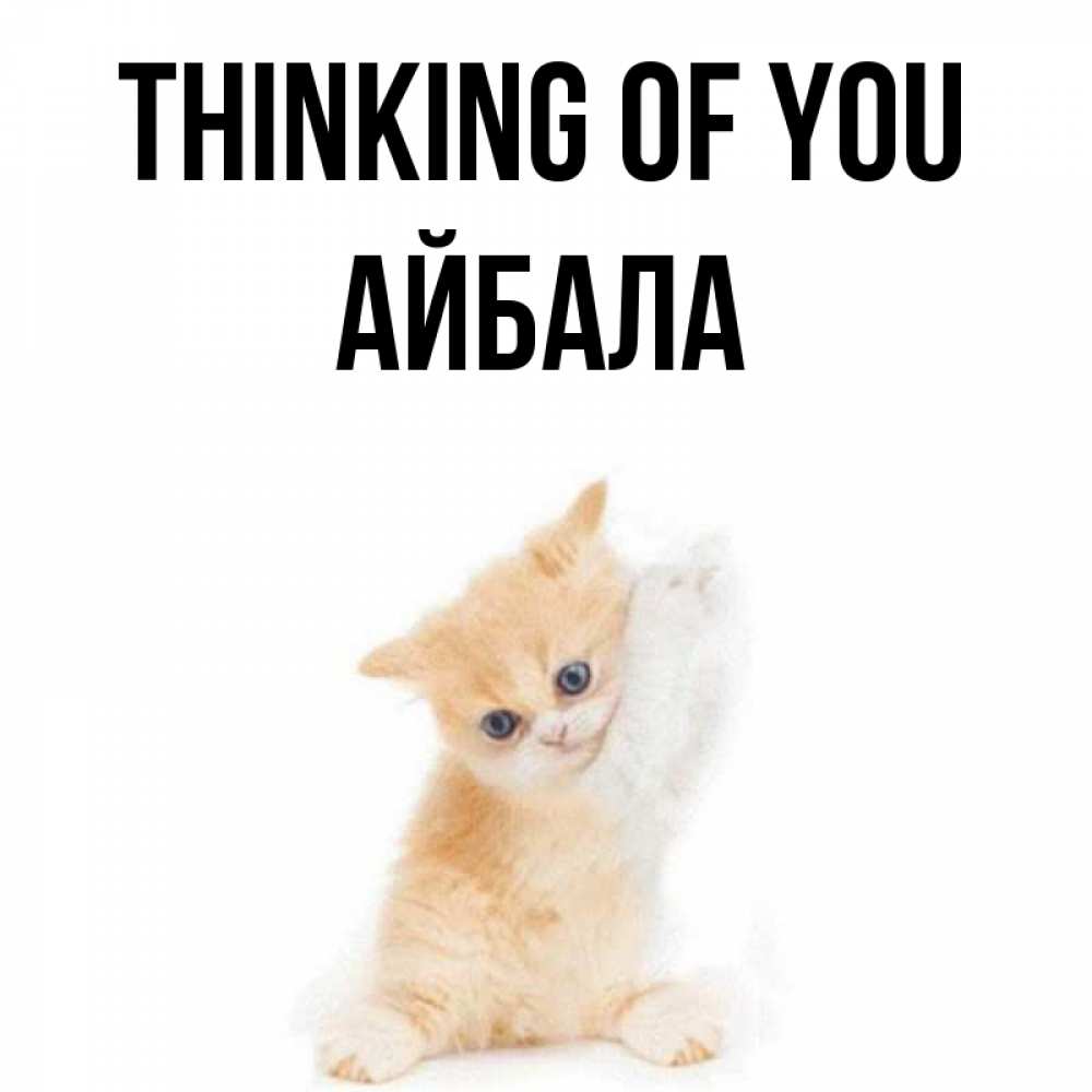Greetings card с именем, Айбала Thinking of you зверушки и милота Greetings with text for free download 
