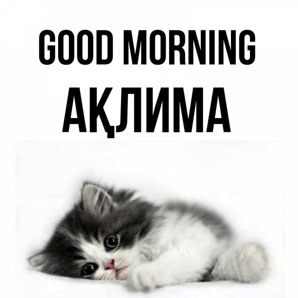 Greetings card с именем, АҚЛИМА Good morning кот лапки Greetings with text for free download 