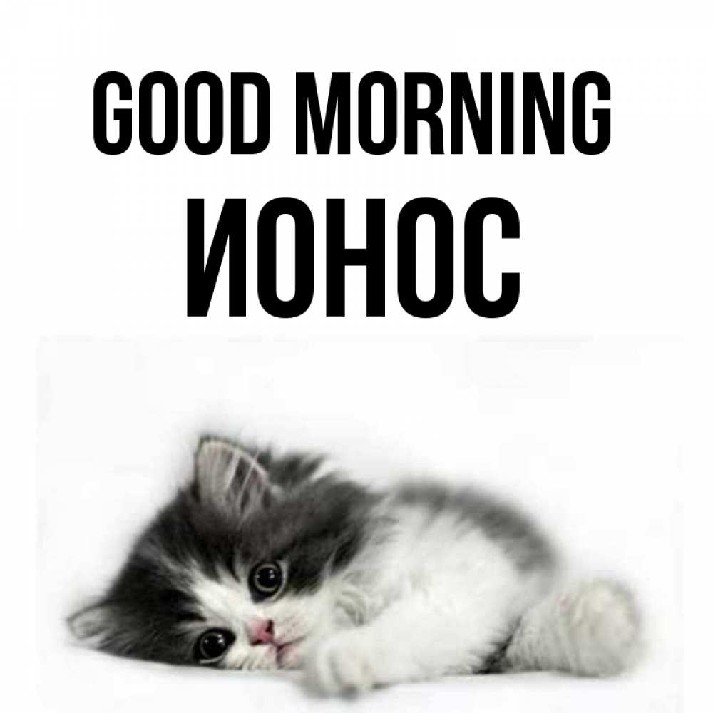 Greetings card с именем, Ионос Good morning кот лапки Greetings with text for free download 