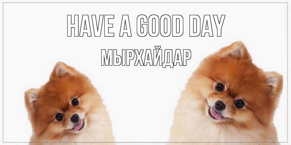Greetings card с именем, МЫРХАЙДАР Have a good day собачки желают прекрасного дня Greetings with text for free download 