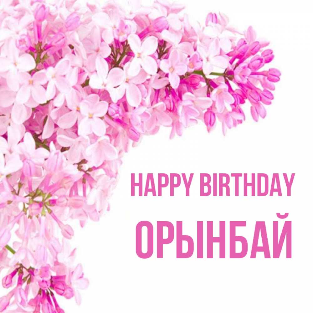 Greetings card с именем, ОРЫНБАЙ Happy Birthday Сирень на белом фоне Greetings with text for free download 