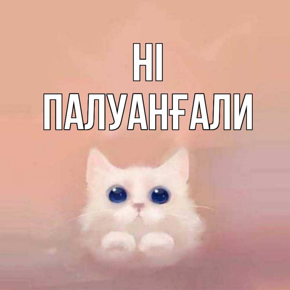 Greetings card с именем, ПАЛУАНҒАЛИ Hi котик белый в полете Greetings with text for free download 