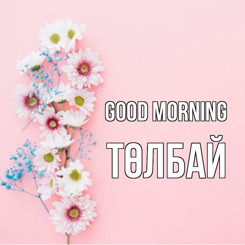 Greetings card с именем, ТӨЛБАЙ Good morning цветы с подписью Greetings with text for free download 