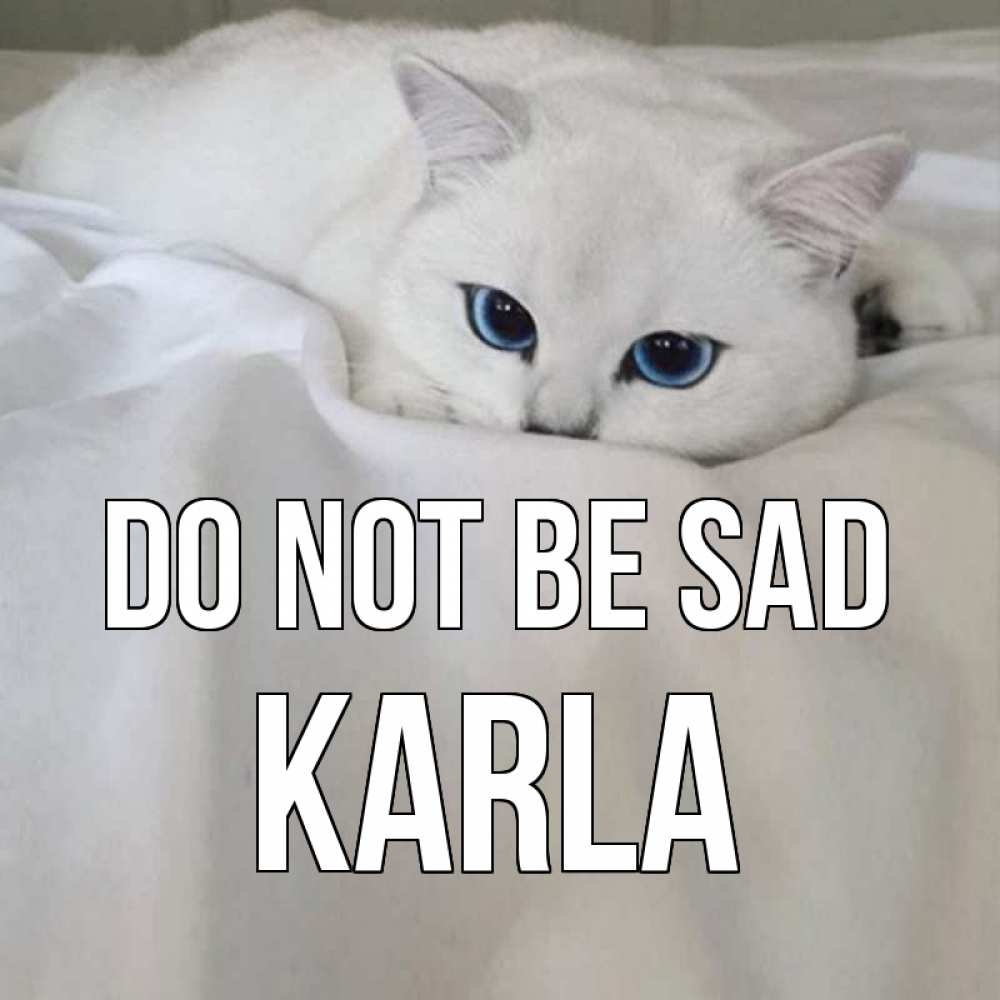Greetings card с именем, Karla Do not be sad белый кот с голубыми глазами на белоснежной кровати Greetings with text for free download 