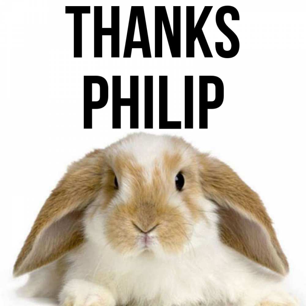 Greetings card с именем, Philip Thanks коричнево белый заяц Greetings with text for free download 