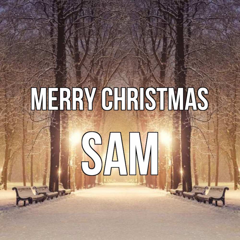Greetings card с именем, Sam Merry Christmas зима, парк, фонарь, лес Greetings with text for free download 