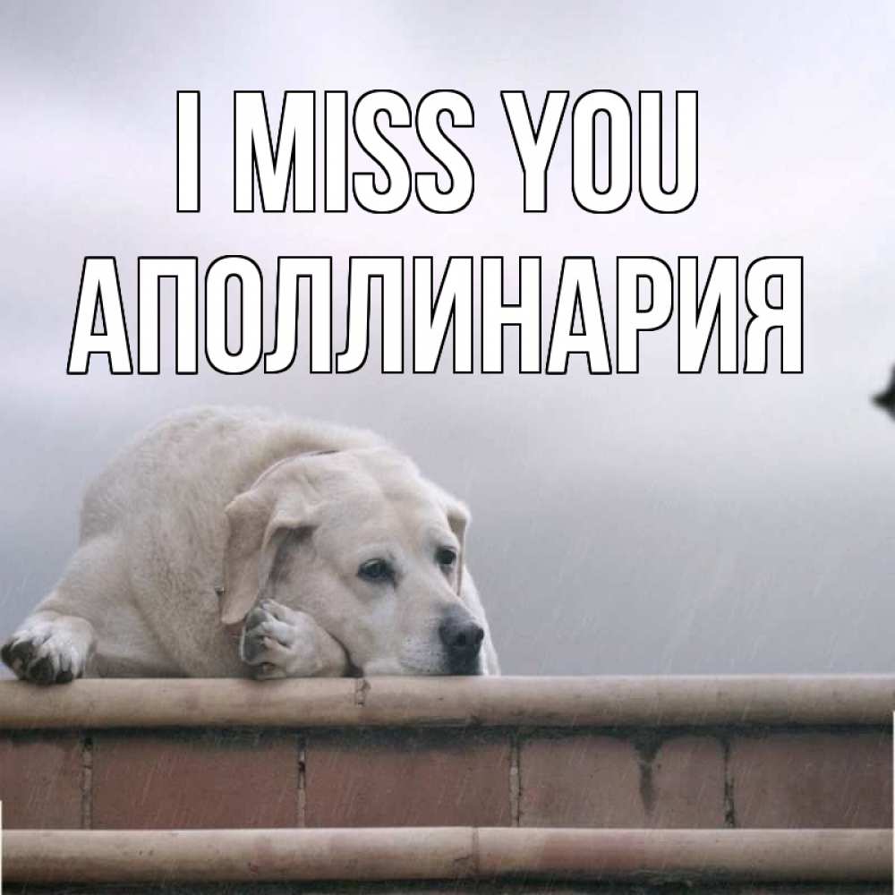 Greetings card с именем, Аполлинария I miss you ждет Greetings with text for free download 