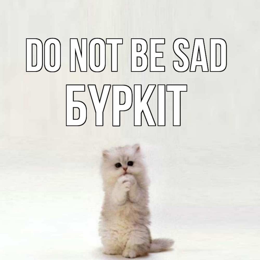 Greetings card с именем, Бүркіт Do not be sad грустный кот Greetings with text for free download 
