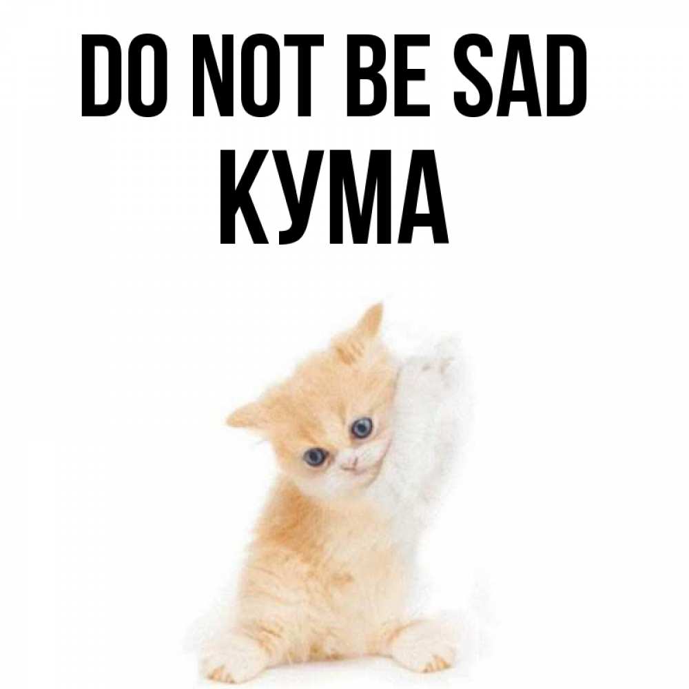 Greetings card с именем, Кума Do not be sad просящий кот Greetings with text for free download 