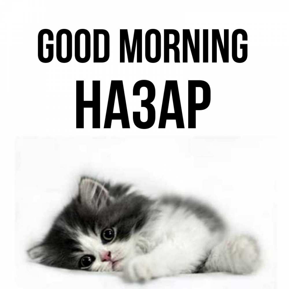 Greetings card с именем, НАЗАР Good morning кот лапки Greetings with text for free download 