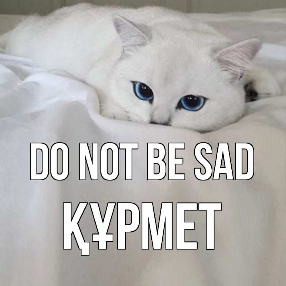 Greetings card с именем, ҚҰРМЕТ Do not be sad белый кот с голубыми глазами на белоснежной кровати Greetings with text for free download 