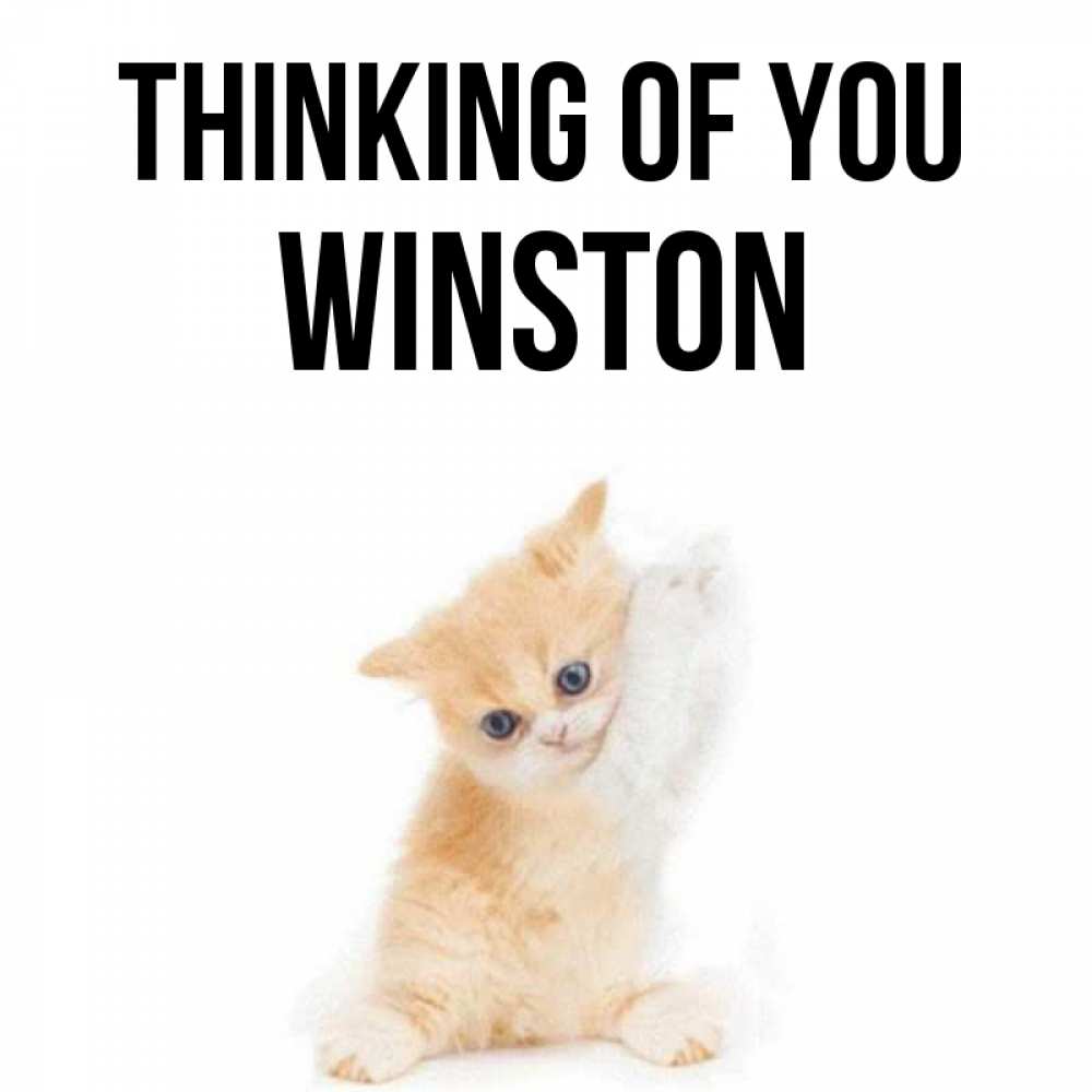 Greetings card с именем, Winston Thinking of you зверушки и милота Greetings with text for free download 