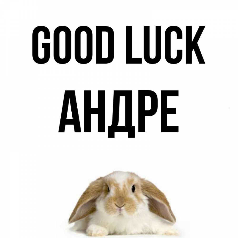 Greetings card с именем, Андре Good luck открытки с произвольным текстом который можно вставить в открытку и создать ее самостоятельно бесплатно онлайн Greetings with text for free download 