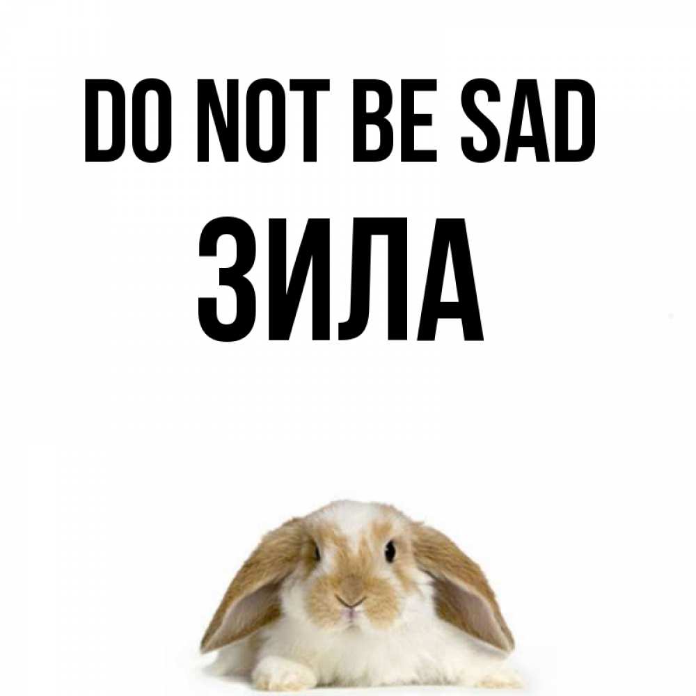 Greetings card с именем, ЗИЛА Do not be sad коричнево белый заяц с большими ушками Greetings with text for free download 