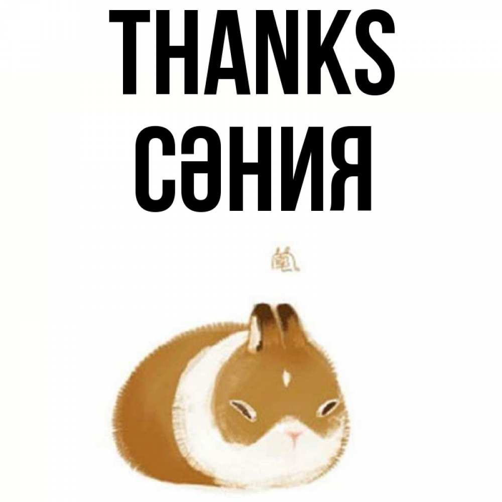 Greetings card с именем, СӘНИЯ Thanks коричнево белый домашний питомец Greetings with text for free download 