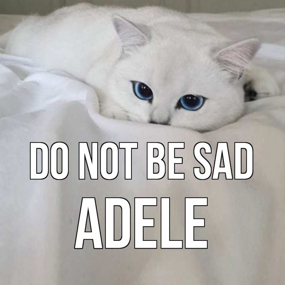 Greetings card с именем, Adele Do not be sad белый кот с голубыми глазами на белоснежной кровати Greetings with text for free download 