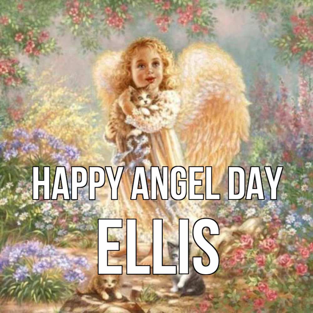 Greetings card с именем, Ellis happy angel day держит котенка Greetings with text for free download 