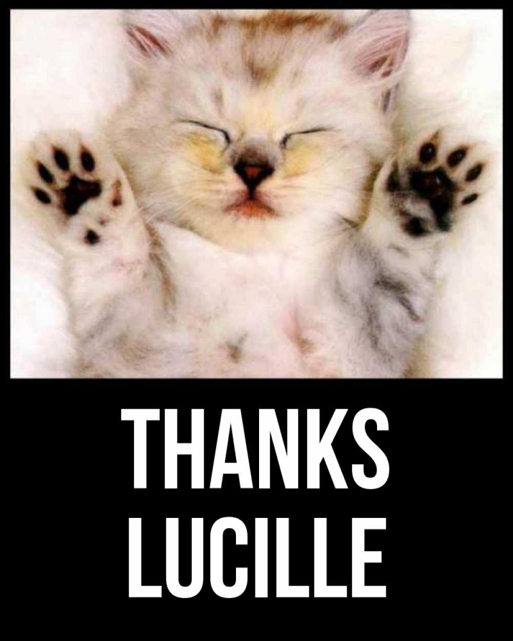 Greetings card с именем, Lucille Thanks маленький котенок Greetings with text for free download 