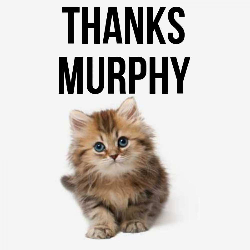 Greetings card с именем, Murphy Thanks пушистый котик Greetings with text for free download 