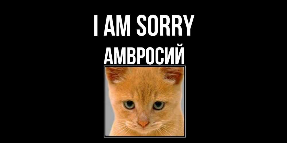 Greetings card с именем, Амвросий I am sorry рыжий грустный кот просит прощения Greetings with text for free download 