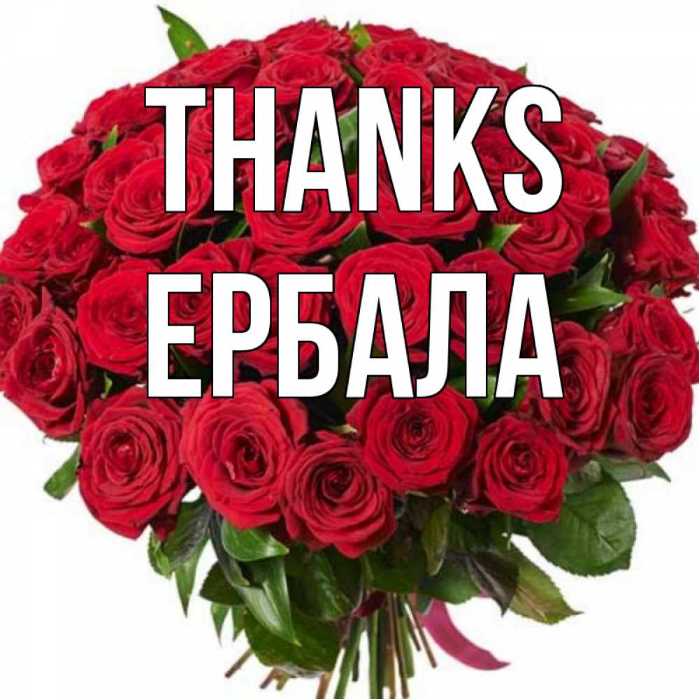 Greetings card с именем, Ербала Thanks букет красных роз Greetings with text for free download 