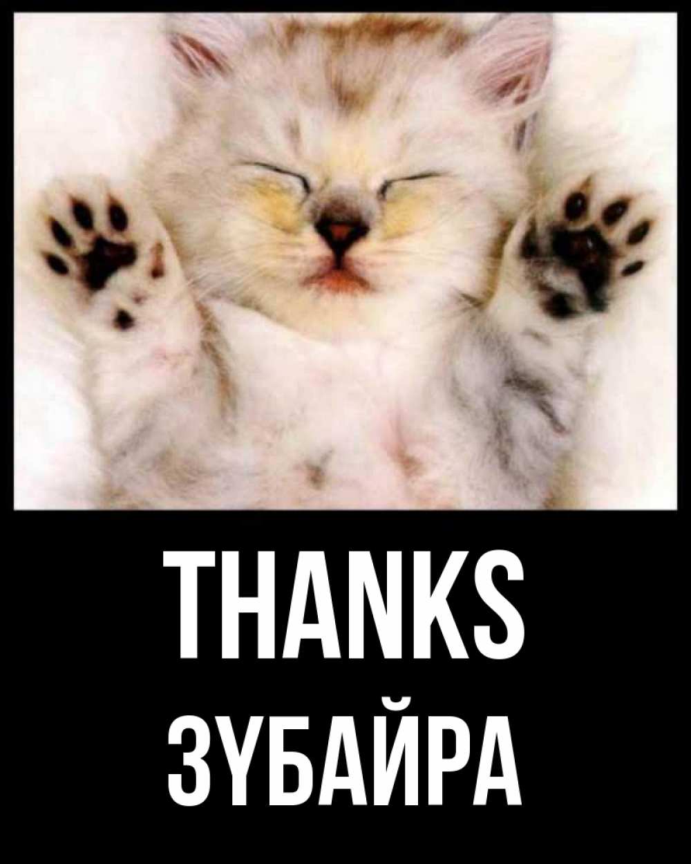 Greetings card с именем, ЗҮБАЙРА Thanks маленький котенок Greetings with text for free download 