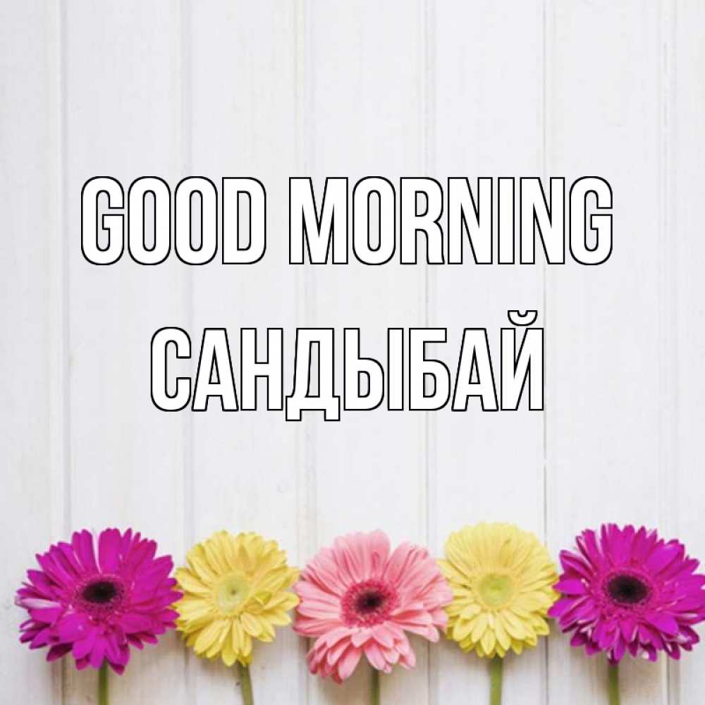Greetings card с именем, САНДЫБАЙ Good morning красный желтый и розовый цветок Greetings with text for free download 