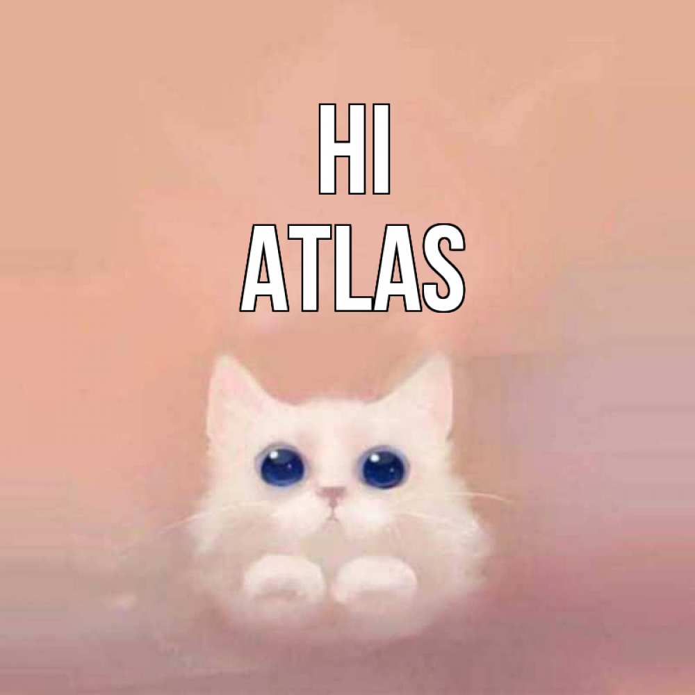 Greetings card с именем, Atlas Hi котик белый в полете Greetings with text for free download 