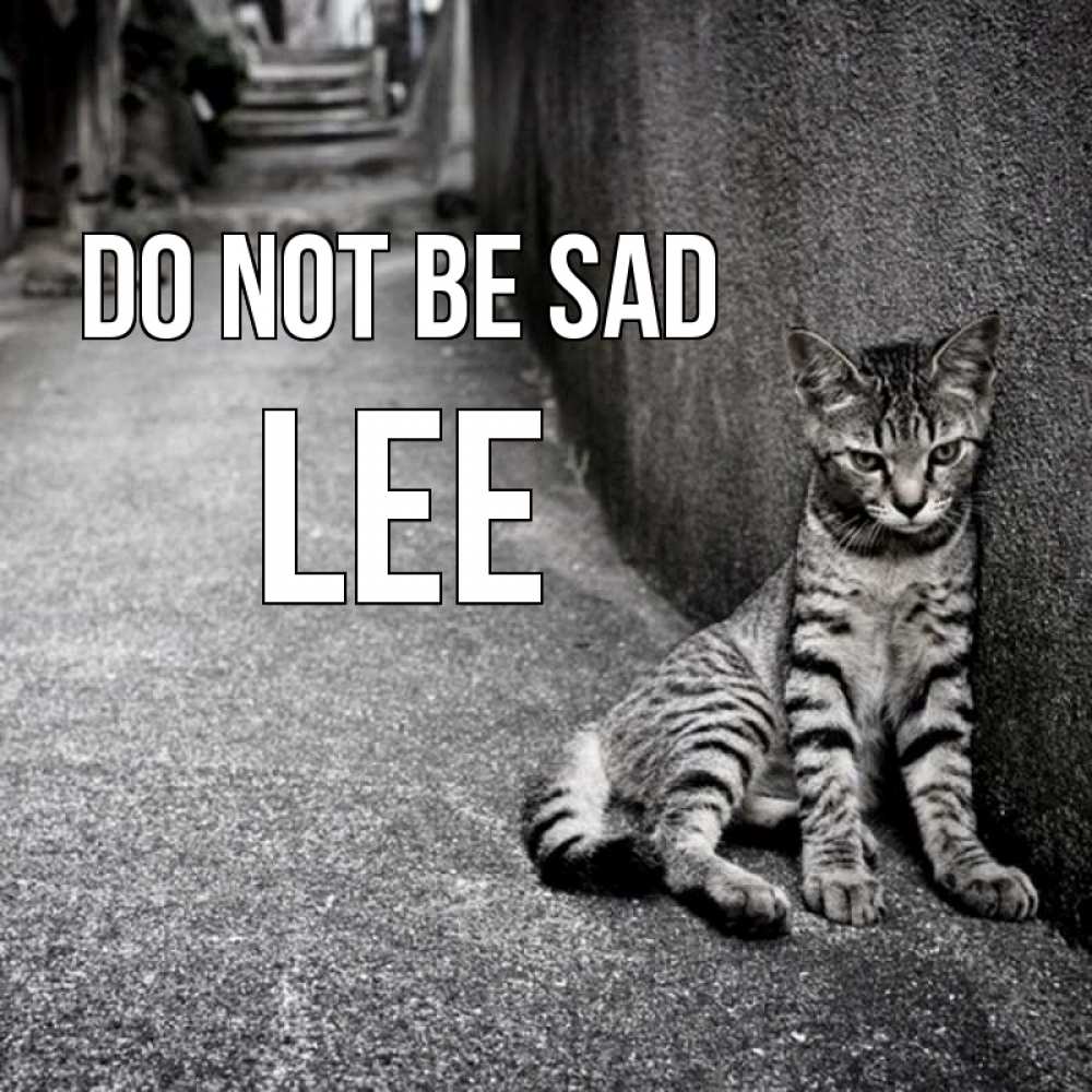 Greetings card с именем, Lee Do not be sad скучающий котик Greetings with text for free download 