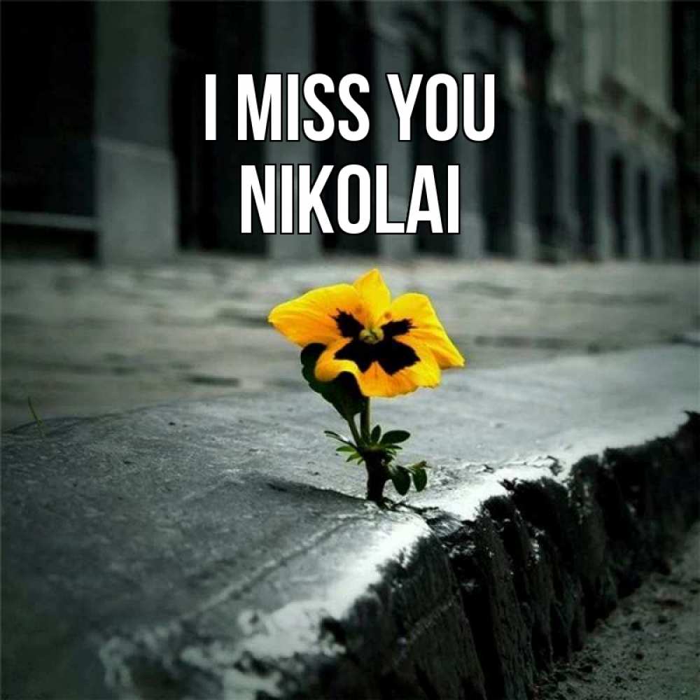 Greetings card с именем, Nikolai I miss you надеюсь будет лучше Greetings with text for free download 