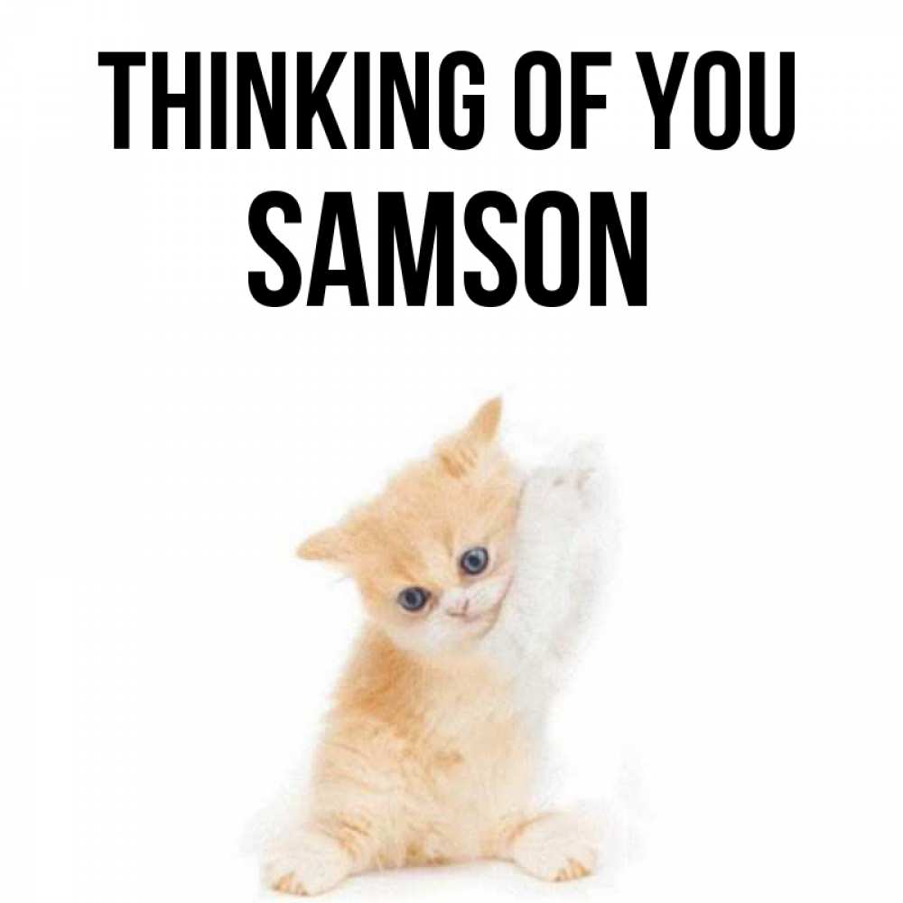 Greetings card с именем, Samson Thinking of you зверушки и милота Greetings with text for free download 