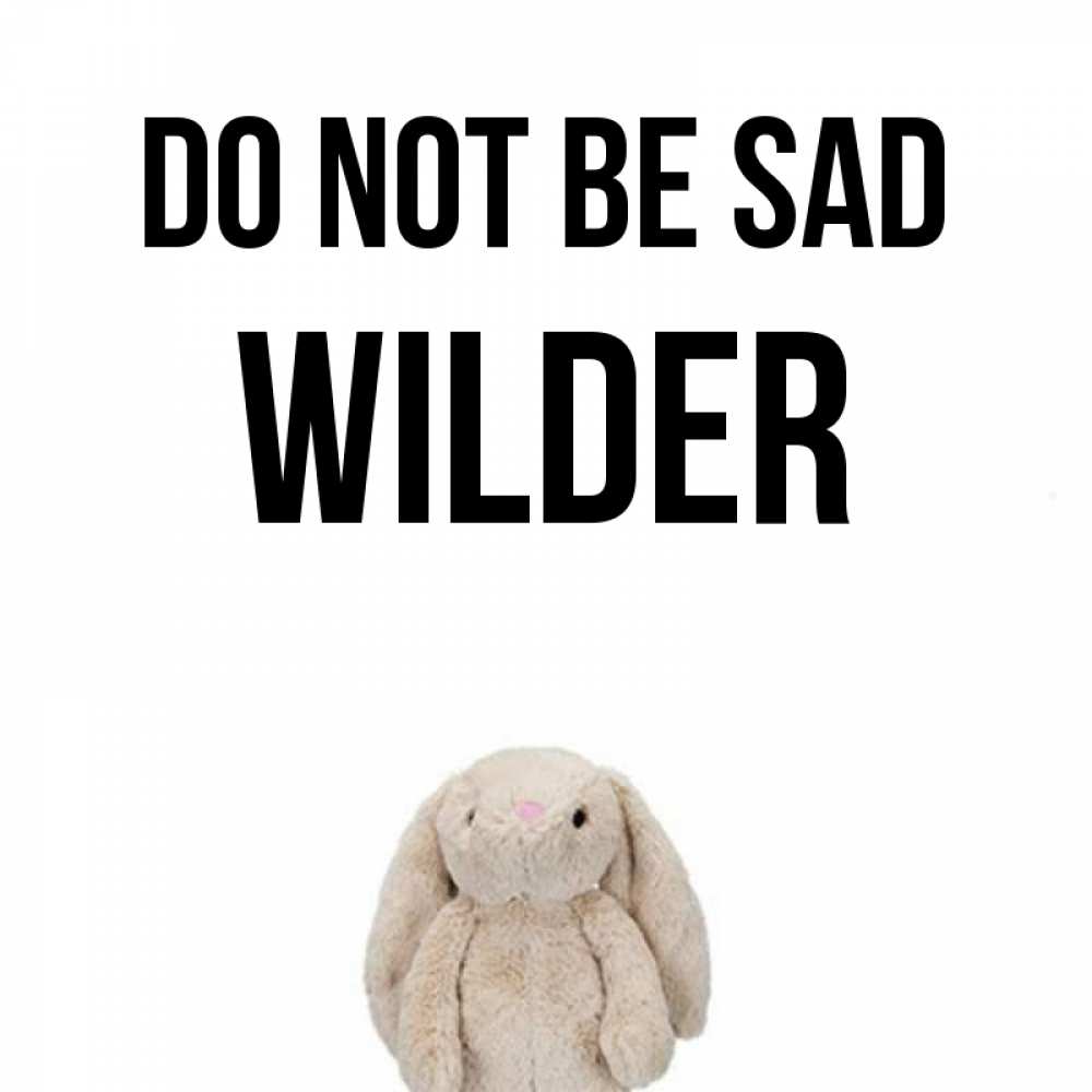Greetings card с именем, Wilder Do not be sad детская игрушка зайчика Greetings with text for free download 
