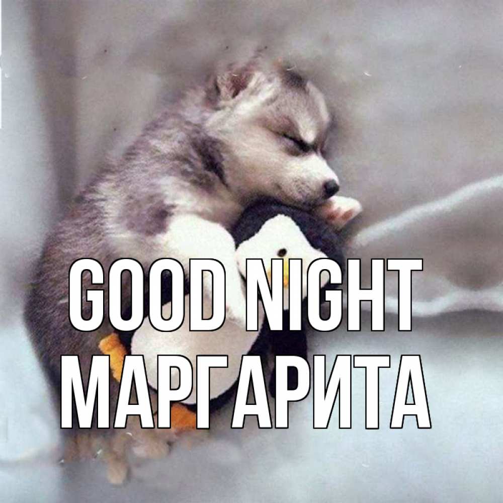 Greetings card с именем, Маргарита Good night обнимашки щенка и пингвина Greetings with text for free download 