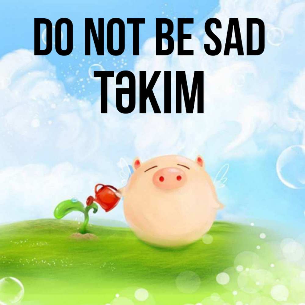 Greetings card с именем, ТӘКІМ Do not be sad поливает цветок порося Greetings with text for free download 
