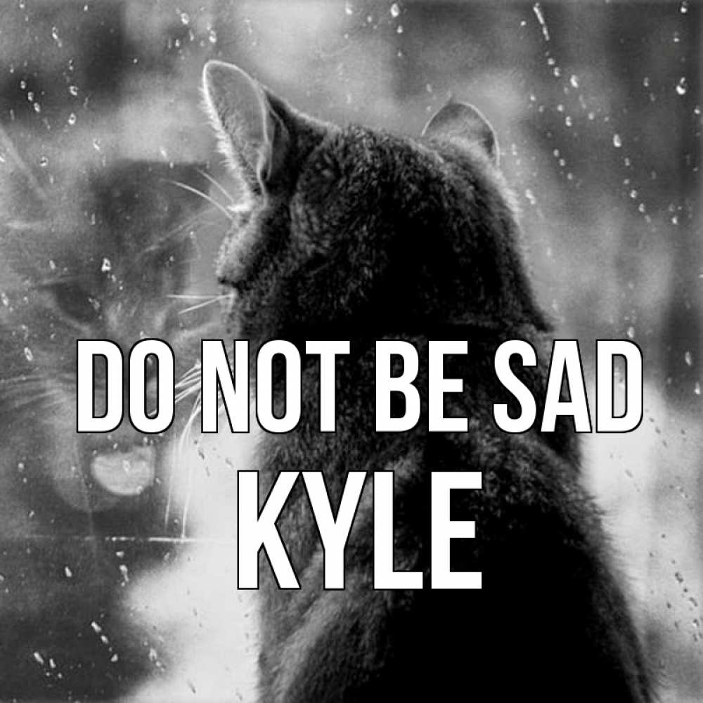 Greetings card с именем, Kyle Do not be sad отражение кота 1 Greetings with text for free download 