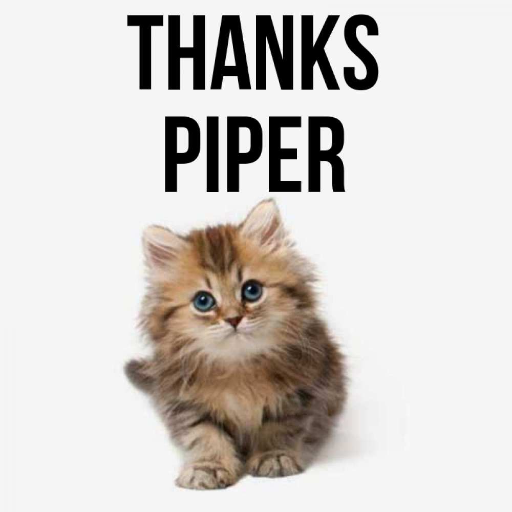 Greetings card с именем, Piper Thanks пушистый котик Greetings with text for free download 