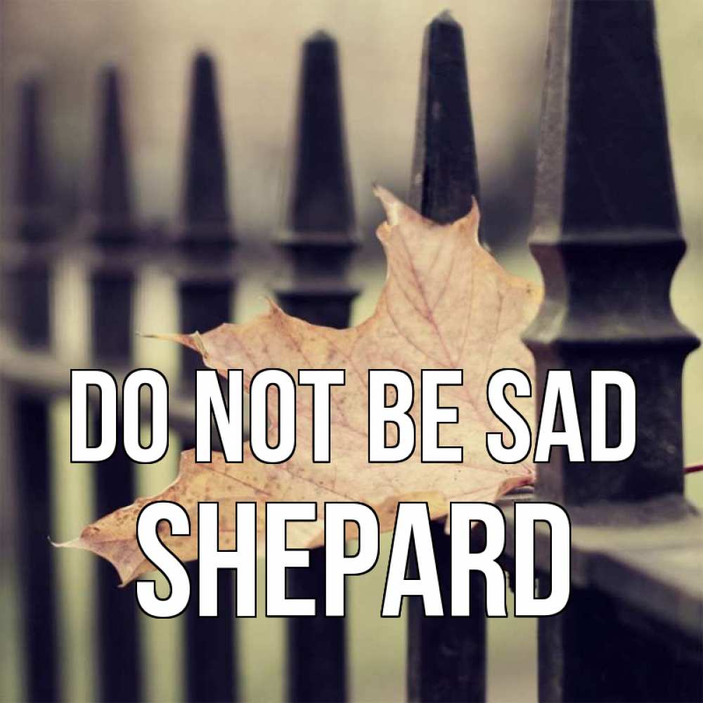 Greetings card с именем, Shepard Do not be sad лист клена Greetings with text for free download 
