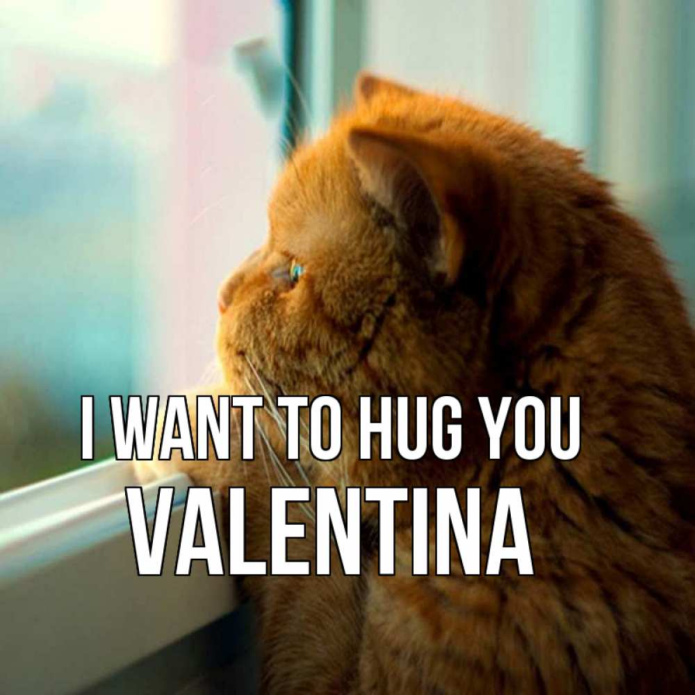 Greetings card с именем, Valentina I want to hug you большой огромный рыжий котяра Greetings with text for free download 