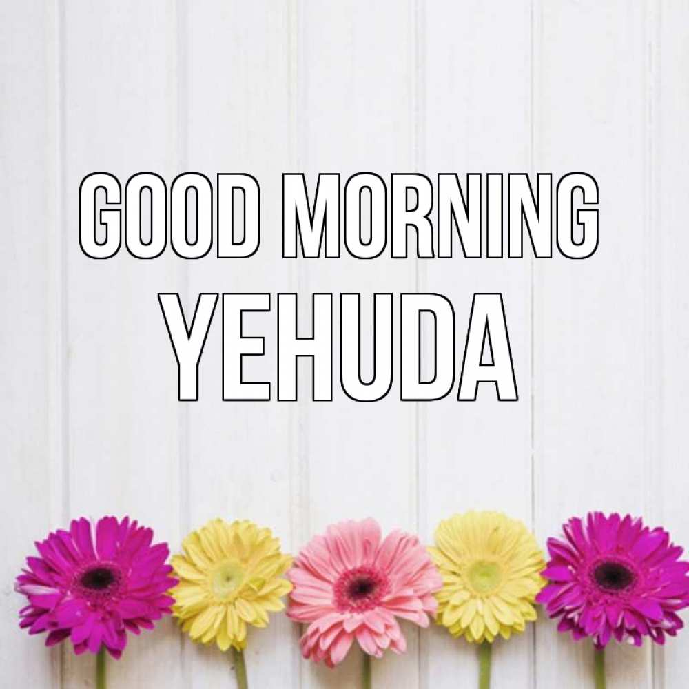 Greetings card с именем, Yehuda Good morning красный желтый и розовый цветок Greetings with text for free download 